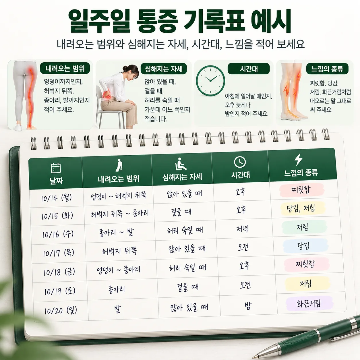 허리에서 다리로 뻗치는 통증의 범위와 자세를 적는 일주일 기록표